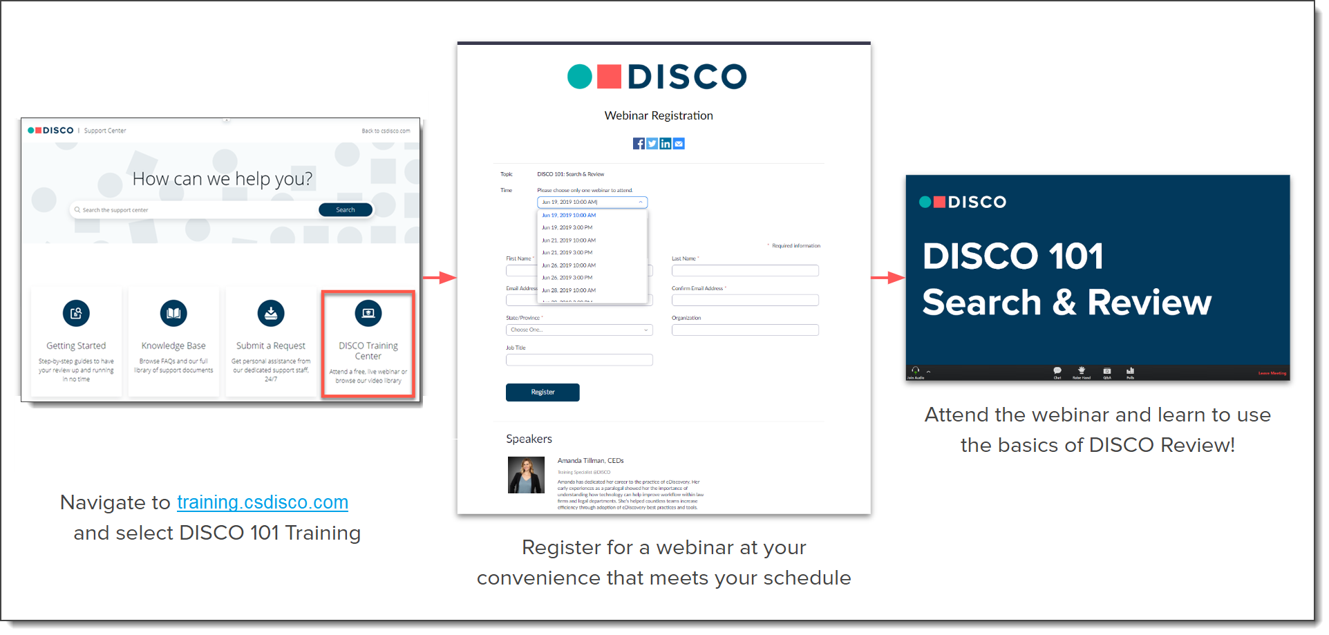 DISCO 101 Webinar DISCO DISCO 101 Webinar DISCO